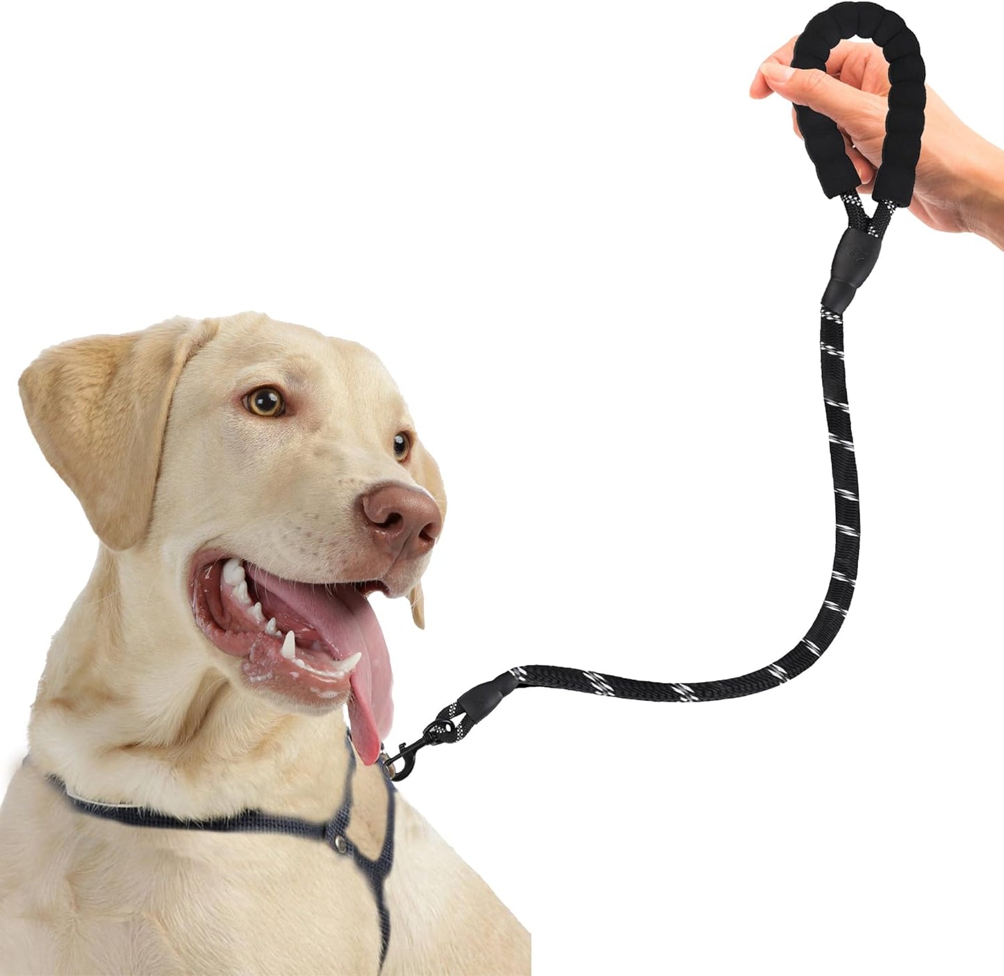 2 ft Dog Rope Leash, Large Dog Training Tool with Padded Handle & Heavy-Duty Metal Clasp, Reflective, Lightweight & Travel